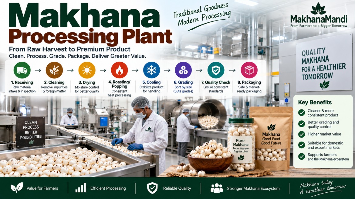 Makhana article: Makhana processing plant: Complete Guide