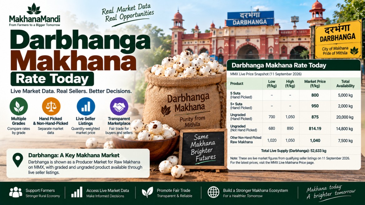 Makhana article: Darbhanga Makhana rate today: Latest Rates, Market Factors & Buyer Guide